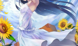 动漫美,穿越时空的艺术盛宴